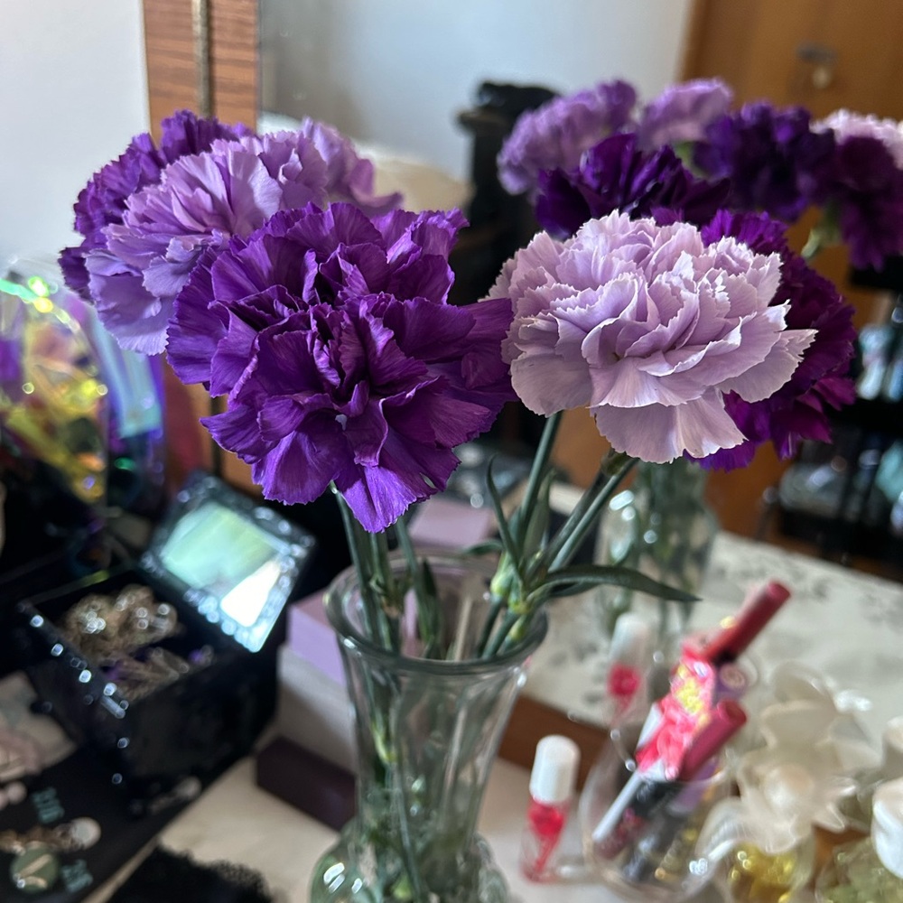 Meet your Posher, Katalina